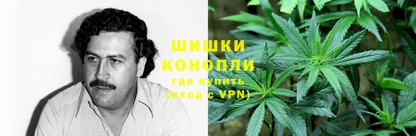 мет Белокуриха