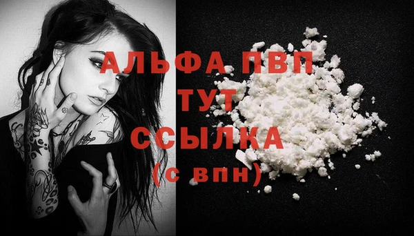молекула духа Белоозёрский