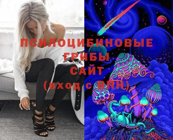молекула духа Белоозёрский
