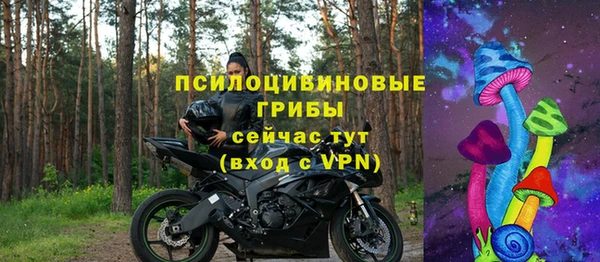 молекула духа Белоозёрский